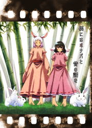 Rule 34 | 2girls, animal ears, bamboo, bamboo forest, rabbit, rabbit ears, comic, dress, forest, inaba tewi, mana (gooney), multiple girls, nature, pink dress, text focus, touhou, translation request