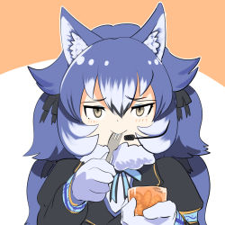 Rule 34 | 1girl, animal costume, animal ear fluff, animal ears, blazer, blue hair, bow, bowtie, dire wolf (kemono friends), extra ears, food, fork, gloves, grey eyes, highres, jacket, kemono friends, kemono friends v project, lipstick, long hair, looking at viewer, makeup, mcgunngu, ribbon, scarf, simple background, solo, sweets, twintails, virtual youtuber, wolf costume, wolf ears, wolf girl