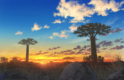 Rule 34 | absurdres, baobab, grass, highres, nature, no humans, original, outdoors, pei (sumurai), rock, scenery, sky, sunset, tree