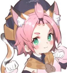 Rule 34 | 1girl, :3, animal ear fluff, animal ears, blush, cat ears, cat tail, diona (genshin impact), emushake, eyelashes, genshin impact, green eyes, hat, highres, looking at viewer, pink hair, simple background, tail, thick eyebrows, upper body, white background