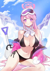 Rule 34 | 1girl, animal, bikini, bird, black bikini, blue archive, blush, breasts, cleavage, closed mouth, cloud, commentary, day, eimi (blue archive), eimi (swimsuit) (blue archive), goggles, goggles on head, halo, jacket, large breasts, long hair, looking at viewer, navel, official alternate costume, open clothes, open jacket, outdoors, penguin, pink hair, pink jacket, ponytail, purple eyes, scarf, shan (ti0n), shovel, sideboob, sitting, ski goggles, sky, solo, stomach, swimsuit, very long hair, white scarf