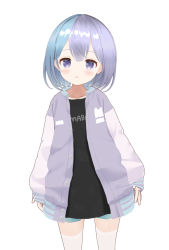 Rule 34 | 1girl, bad id, bad twitter id, black shirt, blue shorts, blush, commentary request, cowboy shot, dutch angle, grey hair, hair between eyes, jacket, long sleeves, looking at viewer, neki (wakiko), open clothes, open jacket, original, parted lips, puffy long sleeves, puffy sleeves, purple eyes, purple jacket, shirt, short shorts, shorts, simple background, sleeves past wrists, solo, standing, white background