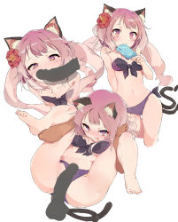 Rule 34 | 1boy, 1girl, animal ear fluff, animal ears, bare shoulders, bikini, blank censor, blush, breasts, cat ears, cat girl, cat tail, censored, collarbone, disembodied penis, fellatio, flower, food, hair flower, hair ornament, hetero, highres, imminent penetration, legs, looking at viewer, multiple tails, multiple views, navel, open mouth, oral, penis, pink hair, pkpkpppk, popsicle, princess connect!, purple bikini, purple eyes, reverse suspended congress, sex, sex from behind, short hair, small breasts, swimsuit, tail, tamaki (princess connect!), tamaki (summer) (princess connect!), thighs, two tails