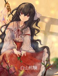 Rule 34 | 1girl, black hair, closed mouth, frilled skirt, frills, girl who trained on mt. haku (touhou), gohei, hair ribbon, hakama, hakama skirt, happy, highres, japanese clothes, long hair, long sleeves, miko, portrait of exotic girls, red eyes, red hakama, red ribbon, red skirt, ribbon, shirt, skirt, smile, touhou, traditional media, translation request, very long hair, wamaru, white shirt, wide sleeves