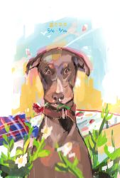 Rule 34 | 2020, animal, animal collar, animal focus, brown collar, brown eyes, collar, doberman, dog, flower, flower in mouth, heremia, highres, looking at viewer, mouth hold, no humans, original, petals, red flower, red rose, rose, sketch, solo, white flower