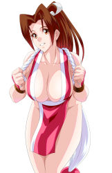 Rule 34 | 1girl, absurdres, breasts, fatal fury, highres, large breasts, shiranui mai, solo, tagme