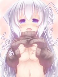 Rule 34 | 1girl, bad id, bad pixiv id, breasts, clothes lift, long hair, nightmare cat, original, purple eyes, shirt lift, solo, sweater, sweater lift, translation request, white hair