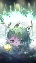 Rule 34 | 1girl, absurdres, antlers, apple, ceres fauna, flower, food, fruit, future cake, golden apple, green hair, hair flower, hair ornament, highres, hololive, hololive english, horns, leaf, leaf on head, lily pad, looking at viewer, mole, mole under eye, partially submerged, solo, virtual youtuber, water, yellow eyes