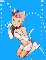 Rule 34 | 1girl, alfa system, animal ears, bare shoulders, blue background, boots, brown eyes, choker, elbow gloves, gloves, hermana larmo, midriff, purple hair, short hair, short shorts, shorts, tail, tales of (series), tales of innocence