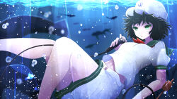 Rule 34 | 1girl, absurdres, air bubble, anchor, anchor symbol, arano oki, black hair, breasts, bubble, colored eyelashes, commentary request, feet out of frame, fish, green eyes, green sailor collar, hat, highres, hishaku, knees up, light rays, medium breasts, midriff peek, murasa minamitsu, navel, neckerchief, parted lips, puffy short sleeves, puffy sleeves, red neckerchief, sailor collar, sailor hat, sailor shirt, shirt, short hair, short sleeves, shorts, solo, thighs, touhou, underwater, white hat, white shirt, white shorts
