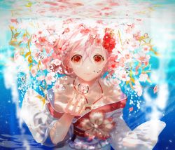 Rule 34 | 1girl, air bubble, bare shoulders, blush, braid, bubble, cherry blossoms, closed mouth, dappled sunlight, eyebrows, eyelashes, flower, frills, hair between eyes, hair flower, hair ornament, halterneck, hana (asml30), japanese clothes, kimono, leaf, long hair, long sleeves, looking at viewer, obi, off shoulder, pink flower, pink hair, reaching, red eyes, red flower, red ribbon, ribbon, ribbon trim, sash, sergestid shrimp in tungkang, solo, sunlight, underwater, upper body, water, wide sleeves, xuan ying