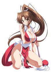 Rule 34 | 1girl, blush, breasts, brown eyes, brown hair, cleavage, folded fan, hand fan, fatal fury, folding fan, izumi mahiru, japanese clothes, large breasts, long hair, pelvic curtain, ponytail, queen&#039;s blade, queen&#039;s gate, revealing clothes, shiranui mai, snk, solo, the king of fighters