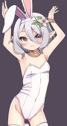 Rule 34 | 1girl, animal ears, armpits, arms up, bare arms, bare shoulders, black background, blush, bracelet, breasts, commentary, covered navel, eyes visible through hair, fake animal ears, flower, godyuurei, grey hair, hair between eyes, hair flower, hair ornament, hairband, highres, jewelry, kokkoro (princess connect!), leotard, looking at viewer, playboy bunny, pointy ears, princess connect!, rabbit ears, rabbit pose, red eyes, simple background, small breasts, smile, solo, strapless, strapless leotard, thighhighs, white hairband, white leotard, white thighhighs
