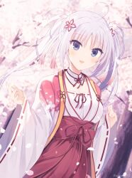 Rule 34 | 1girl, :d, ahoge, aiyan, blue eyes, blush, cherry blossoms, commentary request, cowboy shot, day, detached collar, eyelashes, eyes visible through hair, falling petals, floating hair, flower, hair flower, hair ornament, hakama, happy, highres, japanese clothes, kimono, long hair, long sleeves, looking at viewer, miko, open mouth, outdoors, parted bangs, petals, pink flower, red hakama, red ribbon, ribbon, ribbon-trimmed sleeves, ribbon trim, senren banka, smile, solo, spring (season), tomotake yoshino, twintails, twitter username, white hair, white kimono, wide sleeves