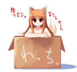 Rule 34 | 00s, 1girl, :&lt;, animal ears, box, cardboard box, for adoption, holo, in box, in container, nude, red eyes, shin (new), solo, spice and wolf, tail, translation request, wolf ears, wolf tail