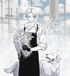 Rule 34 | animal, apron, black apron, black gloves, blue sky, building, closed mouth, cloud, cloudy sky, collarbone, collared shirt, commentary request, cowboy shot, curly hair, dog, flower, gloves, greyscale, hand on own hip, highres, holding, holding flower, indoors, korean commentary, looking at another, looking down, male focus, monochrome, noeardog, one piece, parted bangs, plant, potted plant, sabo (one piece), scar, scar across eye, shirt, short hair, sky, smile, spot color, white shirt, window