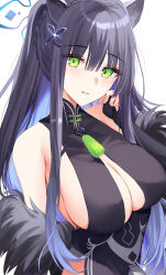 Rule 34 | 1girl, animal ears, bare shoulders, black dress, black hair, blue archive, blue hair, breasts, bridal gauntlets, china dress, chinese clothes, cleavage, cleavage cutout, clothing cutout, colored inner hair, dress, fur trim, green eyes, hair ornament, halo, hand up, highres, kinona, large breasts, long hair, looking at viewer, multicolored hair, off shoulder, open mouth, ponytail, shun (blue archive), side slit, simple background, sleeveless, sleeveless dress, smile, solo, tassel, tiger ears, upper body, white background