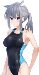 Rule 34 | 1girl, animal ear fluff, animal ears, black one-piece swimsuit, blue archive, blue eyes, breasts, competition swimsuit, covered navel, cowboy shot, cross hair ornament, extra ears, grey hair, hair ornament, halo, highres, low ponytail, medium breasts, medium hair, mismatched pupils, multicolored clothes, multicolored swimsuit, nayotaka, official alternate costume, one-piece swimsuit, shiroko (blue archive), shiroko (swimsuit) (blue archive), simple background, solo, standing, swimsuit, white background, wolf ears