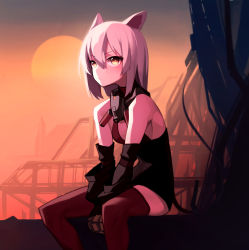 Rule 34 | 1girl, absurdres, animal ears, arknights, bare shoulders, belt, belt pouch, beudelb, black dress, breasts, brown thighhighs, cleavage, closed mouth, detached sleeves, dress, feet out of frame, gloves, highres, korean commentary, long sleeves, looking afar, mouse ears, outdoors, pouch, scavenger (arknights), short dress, short hair, silver hair, sitting, small breasts, solo, sun, thighhighs, v-shaped eyebrows, yellow eyes, yellow gloves