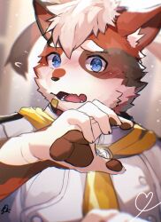 Rule 34 | 1boy, animal ears, bandaid, bandaid on face, blue eyes, blush, cat boy, cat ears, claws, commentary request, crave saga, embarrassed, flying sweatdrops, furry, furry male, highres, looking at viewer, mageiro (crave saga), male focus, nose blush, pawpads, ponzu tas, upper body, white hair