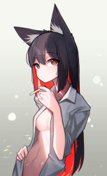 Rule 34 | 1girl, absurdres, animal ear fluff, animal ears, arknights, beudelb, black hair, breasts, brown eyes, cigarette, colored inner hair, commentary, cropped torso, grey background, hair between eyes, hand up, highres, holding, holding cigarette, korean commentary, long hair, looking at viewer, medium breasts, multicolored hair, navel, no bra, open clothes, open shirt, red hair, shirt, sideboob, simple background, solo, stomach, texas (arknights), two-tone hair, very long hair, white shirt, wolf ears