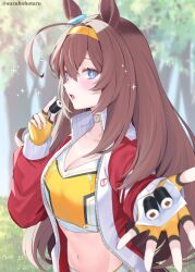 Rule 34 | 1girl, ahoge, animal ears, blue eyes, blurry, blurry background, breasts, brown hair, choker, cleavage, commentary request, fingerless gloves, food, forest, gloves, hair between eyes, hairband, highres, horse ears, horse girl, horse tail, long hair, looking at viewer, makizushi, medium breasts, midriff, mihono bourbon (mission mental nutrition) (umamusume), mihono bourbon (umamusume), nature, navel, official alternate costume, open mouth, solo, sparkling eyes, sushi, suzuho hotaru, tail, umamusume, white choker, yellow gloves, yellow hairband