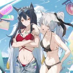 Rule 34 | 2girls, absurdres, alternate costume, alternate hairstyle, animal ear fluff, animal ears, arknights, arm on another&#039;s shoulder, arm up, bare arms, bare shoulders, bikini, black bikini, black bow, blue sky, bow, breasts, cleavage, closed mouth, cowboy shot, crossed arms, day, eyewear on head, fang, frilled bikini, frills, hair bow, hair ornament, hairclip, hand on own hip, highres, horizon, jewelry, krin (krinnin), lappland (arknights), long hair, looking at viewer, material growth, medium breasts, multiple girls, necklace, ocean, open fly, open mouth, orange eyes, oripathy lesion (arknights), outdoors, ponytail, red bikini, scar, scar across eye, scar on face, silver hair, sky, sunglasses, surfboard, swimsuit, texas (arknights), v-shaped eyebrows, wolf ears, yellow eyes