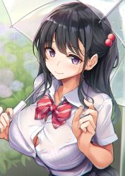 Rule 34 | 1girl, black hair, black skirt, bow, bowtie, bra, bra visible through clothes, breasts, button gap, buttons, cleavage, closed mouth, collarbone, collared shirt, dress shirt, flower, hair bobbles, hair ornament, holding, holding umbrella, hydrangea, kurenai hanpen, large breasts, long hair, looking at viewer, one side up, original, pleated skirt, polka dot, polka dot bra, purple eyes, rain, red bow, red bowtie, school uniform, see-through, shirt, short sleeves, sidelocks, skirt, smile, solo, striped bow, striped bowtie, striped clothes, striped neckwear, transparent, transparent umbrella, umbrella, underwear, upper body, water, wet, wet clothes, wet shirt, white bra, white shirt