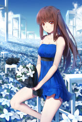 Rule 34 | 1girl, animal, bare arms, bare shoulders, black cat, blue dress, blue sky, blush, bouquet, braid, breasts, brown eyes, brown hair, cat, cleavage, closed mouth, cloud, collarbone, commentary request, crown braid, day, dress, english text, field, flower, flower field, highres, holding, holding bouquet, ji dao ji, long hair, looking at viewer, medium breasts, original, outdoors, sky, smile, solo, strapless, strapless dress, very long hair, white flower