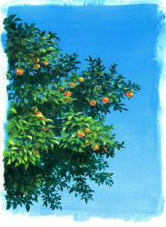 Rule 34 | blue sky, border, day, food, fruit, highres, nature, no humans, orange (fruit), original, outdoors, sawitou mizuki, scenery, sky, still life, tree, white border