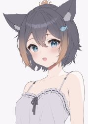 Rule 34 | 1girl, alternate costume, animal ear fluff, animal ears, black hair, blue eyes, breasts, camisole, cat ears, fish hair ornament, frilled camisole, frills, hair ornament, highres, looking at viewer, multicolored hair, nijisanji, nijisanji en, open mouth, orange hair, petra gurin, short hair, small breasts, solo, soybean (hisoybean), spaghetti strap, streaked hair, virtual youtuber, white background, white camisole