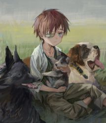 Rule 34 | 1boy, absurdres, animal, blue eyes, brown hair, child, closed mouth, collar, day, dog, eyepatch, grass, highres, holding, holding animal, on ground, open clothes, open shirt, original, outdoors, pants, pants rolled up, shirt, short hair, sitting, take no (xtc65 0), white shirt
