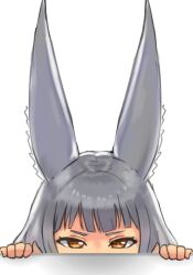 Rule 34 | 1girl, animal ear fluff, animal ears, brown eyes, cat ears, cat girl, commentary request, grey hair, half-closed eyes, hands up, highres, looking at viewer, nia (blade) (xenoblade), nia (xenoblade), peeking out, r123, simple background, solo, v-shaped eyebrows, white background, xenoblade chronicles (series), xenoblade chronicles 2