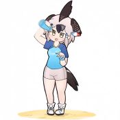 Rule 34 | 1girl, animated, bare arms, bare legs, bird tail, bird wings, black hair, bottle, brown hair, commentary, flying sweatdrops, full body, greater roadrunner (kemono friends), grey hair, hair tubes, head wings, kemono friends, kemono friends 2, medium hair, motion blur, multicolored hair, open mouth, shirt, shoes, short sleeves, shorts, simple background, solo, standing, sweat, tail, taro (tontaro), tongue, tongue out, video, white background, wings, yellow eyes