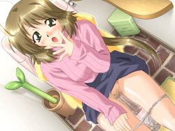 Rule 34 | 1girl, ahoge, blue skirt, blush, bow, breasts, brick floor, brown hair, cc syndrome, censored, clothes lift, dutch angle, embarrassed, english text, female pubic hair, flower pot, game cg, hair bow, hand on own thigh, hand to own mouth, huge bow, indoors, long hair, looking at viewer, mosaic censoring, open mouth, panties, panty pull, pee, peeing, pink sweater, ponytail, pubic hair, pussy, sakura iori, shelf, sirpent, sitting, skirt, skirt lift, solo, spread fingers, striped clothes, striped sweater, surprised, sweater, toilet, toilet use, trash can, underwear, white panties, yellow bow