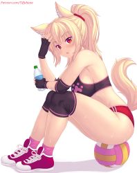 Rule 34 | 1girl, animal ears, armpits, ball, bare shoulders, black gloves, blonde hair, bottle, breasts, buruma, crop top, fingerless gloves, fox ears, fox girl, fox tail, gloves, hand up, highres, holding, knee pads, large breasts, long hair, looking at viewer, midriff, nottytiffy, open mouth, original, pink socks, ponytail, red buruma, red eyes, shoes, simple background, sitting, sleeveless, slit pupils, sneakers, socks, solo, sports bra, sweat, tail, thighs, tiffy (nottytiffy), volleyball, volleyball (object), white background