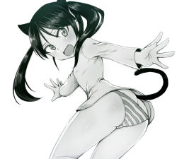 Rule 34 | 1girl, animal ears, ass, black hair, butt crack, cat ears, cat tail, fang, francesca lucchini, green theme, liar lawyer, looking at viewer, monochrome, open mouth, panties, solo, strike witches, striped clothes, striped panties, tail, twintails, underwear, world witches series