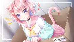 Rule 34 | 1girl, ahoge, animal ear fluff, animal ears, black collar, blue hair, blue jacket, box, cardboard box, cat ears, cat girl, cat tail, closed mouth, collar, commentary request, commission, dutch angle, hair between eyes, highres, in box, in container, jacket, kohinata hoshimi, lightning bolt symbol, long sleeves, looking at viewer, multicolored hair, neckerchief, off shoulder, open clothes, open jacket, pink sailor collar, pink skirt, pleated skirt, puffy long sleeves, puffy sleeves, sailor collar, school uniform, serafuku, shirt, short eyebrows, skeb commission, skirt, solo, sorahoshi paru, sparkle, tail, thick eyebrows, translation request, two-tone hair, virtual youtuber, wavy mouth, white shirt, yellow neckerchief, zero project