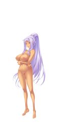 Rule 34 | 1girl, absurdres, barefoot, bibyo, braid, breasts, crossed arms, full body, highres, hikage eiji, koihime musou, kougai, large breasts, light purple hair, long hair, navel, nipples, no pussy, nude, official art, purple eyes, shin koihime musou, smile, solo, transparent background, very long hair
