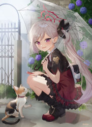 Rule 34 | 1girl, absurdres, bag, bell, black bag, black flower, blue archive, boots, cat, collar, eve rochet, flower, frilled skirt, frills, grey hair, hair flower, hair ornament, hair scrunchie, halo, highres, holding, holding umbrella, charm (object), looking at viewer, mutsuki (blue archive), neck ribbon, open mouth, outdoors, plaid, plaid skirt, pointy ears, puddle, purple eyes, rain, red collar, red eyes, red skirt, ribbon, scrunchie, side ponytail, skirt, transparent, transparent umbrella, umbrella, white hair, wide sleeves