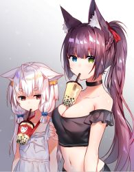 Rule 34 | 2girls, ahoge, animal ear fluff, animal ears, bare shoulders, black choker, black shirt, blue bow, blue eyes, bow, braid, breasts, bubble tea, bubble tea challenge, choker, cleavage, collarbone, commentary request, crop top, dress, drinking, drinking straw, flat chest, fox ears, fox girl, french braid, frown, gradient background, green eyes, grey background, hair bow, hair ornament, hair ribbon, heterochromia, large breasts, long hair, looking at viewer, midriff, multiple girls, navel, object on breast, off-shoulder shirt, off shoulder, original, ponytail, purple hair, red eyes, red ribbon, ribbon, shaded face, shirt, star (symbol), stomach, thick eyebrows, upper body, usagihime, white background, white dress, white hair