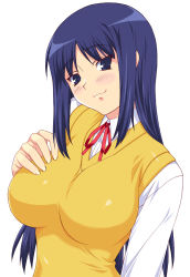 Rule 34 | :3, black hair, breasts, impossible clothes, impossible shirt, kurusugawa ayaka, large breasts, long hair, school uniform, shichimenchou, shirt, simple background, sweater vest, to heart, to heart (series), vest