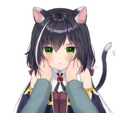 Rule 34 | 1girl, :i, animal ear fluff, animal ears, anz32, bad id, bad pixiv id, bare shoulders, black hair, black sleeves, blush, bow, brown bow, cat ears, cat girl, cat tail, closed mouth, collared shirt, commentary request, detached sleeves, green eyes, hair between eyes, hair bow, hands on another&#039;s cheeks, hands on another&#039;s face, karyl (princess connect!), long hair, long sleeves, looking at viewer, low twintails, multicolored hair, out of frame, princess connect!, shirt, simple background, sleeveless, sleeveless shirt, solo focus, streaked hair, tail, tail raised, twintails, twitter username, upper body, white background, white hair, white shirt