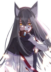 Rule 34 | 1girl, absurdres, animal ears, arknights, blood, blood from mouth, blood on clothes, blood on face, brown gloves, capelet, closed mouth, fingerless gloves, gloves, grey hair, hand on own face, highres, jacket, long hair, sleeves past wrists, surato, texas (arknights), torn clothes, white background, wolf ears, yellow eyes