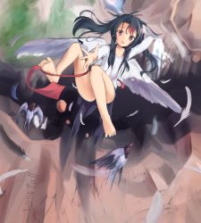 Rule 34 | 1girl, akabane hibame, bare legs, barefoot, bird, bird wings, black hair, falling, feathered wings, feathers, head wings, long hair, looking at viewer, multicolored hair, no panties, original, outdoors, outstretched arm, outstretched hand, red eyes, red hair, shirt, solo, twitter username, two-tone hair, white shirt, white wings, wings