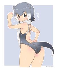 Rule 34 | 10s, 1girl, animal ears, ass, black eyes, breasts, grey hair, hand on own hip, highres, kemono friends, looking at viewer, looking back, mudou eichi, multicolored hair, otter tail, short hair, simple background, small-clawed otter (kemono friends), small-clawed otter (kemono friends)otter ears, small breasts, smile, solo, standing, swimsuit, tail, thighs, two-tone hair