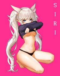 Rule 34 | 1girl, animal ears, annyeongbangawo, bad id, bad pixiv id, barefoot, black panties, black sweater, blue eyes, blush, breasts, character request, clothes lift, elsword, full body, kneeling, lifted by self, long hair, looking at viewer, medium breasts, navel, nipples, panties, pink background, pointy ears, silver hair, simple background, solo, sweater, sweater lift, twintails, underwear, very long hair