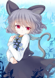 Rule 34 | 1girl, animal ears, blue background, cowboy shot, flower, iris anemone, looking at viewer, mouse ears, mouse tail, nazrin, parted lips, red eyes, short hair, silver hair, solo, tail, touhou, wind