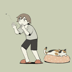 Rule 34 | 1boy, absurdres, avogado6, black shorts, brown hair, bug, calico, cat, commentary, cushion, fighting stance, green background, highres, insect, looking at animal, male focus, mosquito, no mouth, original, red footwear, shirt, short hair, short sleeves, shorts, simple background, slippers, solo, standing, t-shirt, wide-eyed