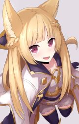 Rule 34 | 10s, 1girl, absurdres, animal ears, armor, arms at sides, black gloves, black thighhighs, blonde hair, blunt bangs, braid, breasts, cape, collarbone, erune, fang, from above, gloves, granblue fantasy, highres, ichijou (kr neru0), long hair, looking at viewer, medium breasts, simple background, single braid, solo, thighhighs, very long hair, yuisis (granblue fantasy)